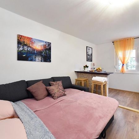 Studio Apartment Aneta Zagreb Bagian luar foto