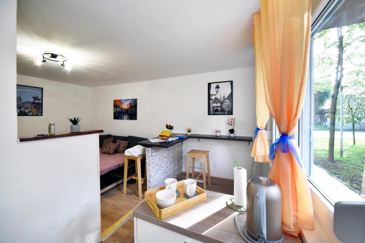 Studio Apartment Aneta Zagreb Bagian luar foto